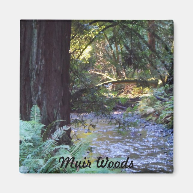 Muir Woods Stream Magnet (Front)