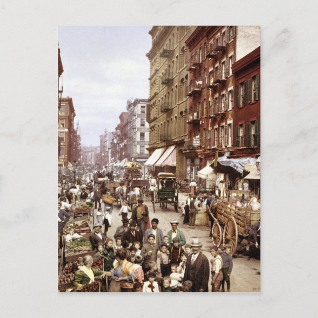 Mulberry Street NYC ca.1900 Postcard (Front)