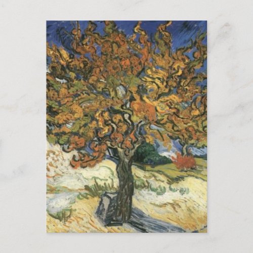 Mulberry Tree by van Gogh Postcard