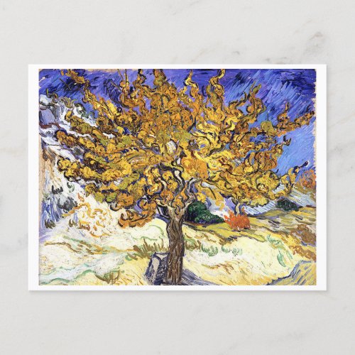 Mulberry Tree Vincent van Gogh  Postcard