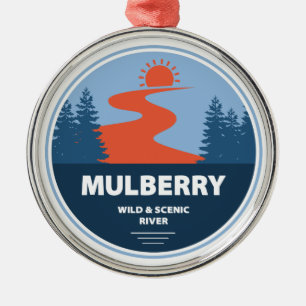 Mulberry Wild And Scenic River, Arkansas Metal Ornament