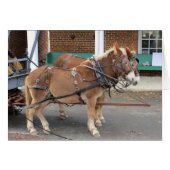 Mule Cart (Front Horizontal)