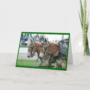 Mule days in card
