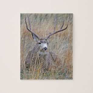 Mule deer 15 jigsaw puzzle