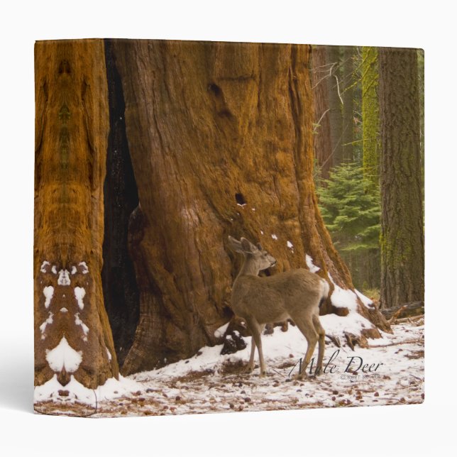 Mule Deer 3 Ring Binder (Front/Spine)