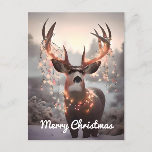Mule Deer and Christmas Lights Postcard
