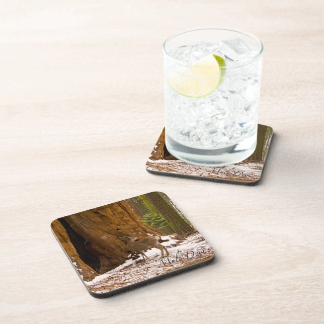 Mule Deer Beverage Coaster (Right Side)