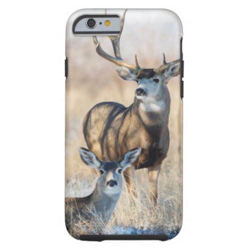 Mule Deer Buck and Doe Tough iPhone 6 Case