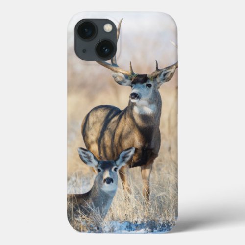 Mule Deer Buck and Doe iPhone 13 Case