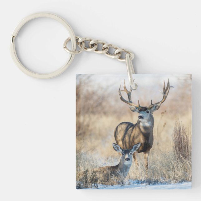 Mule Deer Buck and Doe Keychain (Front)