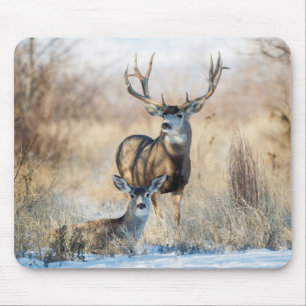 Mule Deer Buck and Doe Mouse Pad