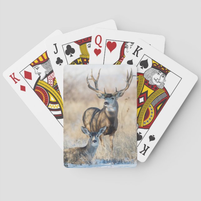 Mule Deer Buck and Doe Poker Cards (Back)