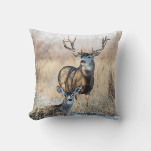 Mule Deer Buck and Doe Throw Pillow