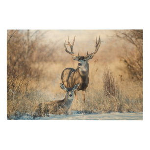 Mule Deer Buck and Doe Wood Wall Decor