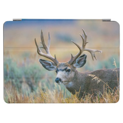 Mule Deer Buck  Grand Teton National Park Wyoming iPad Air Cover