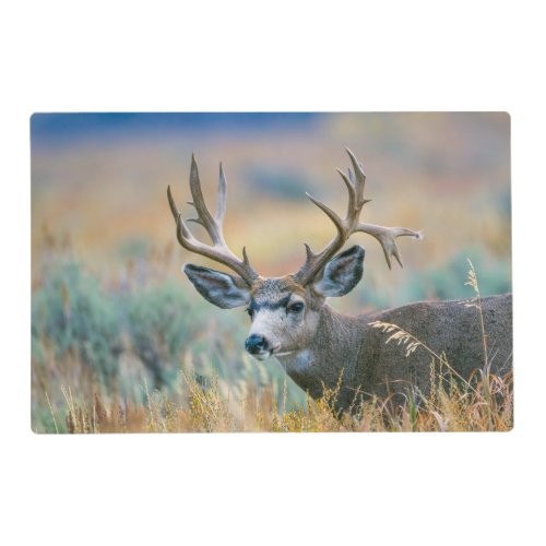 Mule Deer Buck  Grand Teton National Park Wyoming Placemat