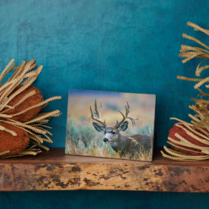 Mule Deer Buck   Grand Teton National Park Wyoming Plaque