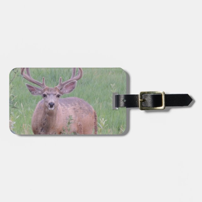 Mule Deer Buck Luggage Tag (Front Horizontal)