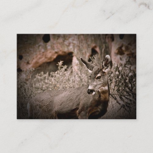 Mule Deer Business Card