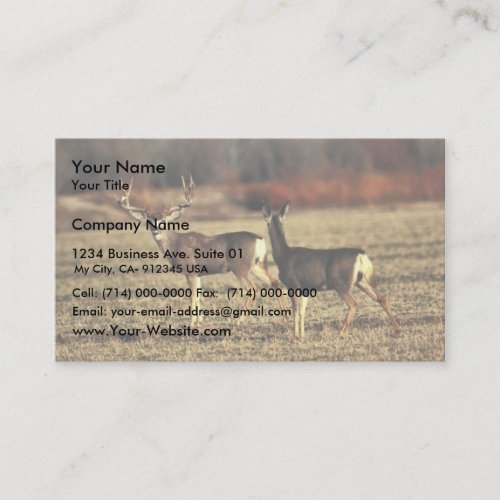 Mule Deer Business Card Template