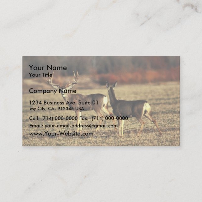 Mule Deer Business Card (Front)