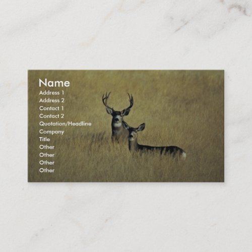 Mule Deer Business Cards