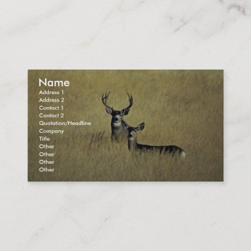 Customizable Mule Deer Business Cards