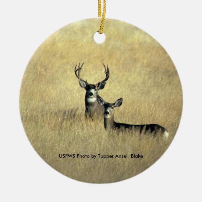 Mule Deer Ceramic Ornament (Front)