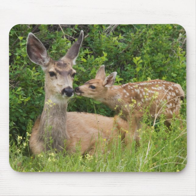 Mule Deer Doe with Fawn Mouse Pad (Front)