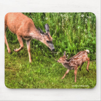 Mule Deer Fawn & Mother Wildlife Photo Mouse Pad