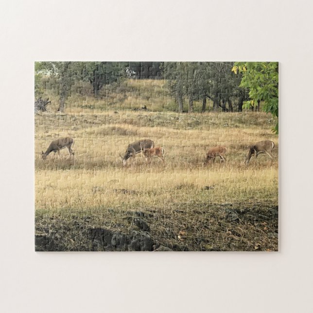 Mule Deer in a Field Jigsaw Puzzle (Horizontal)