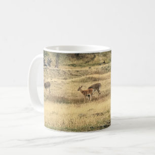 Mule Deer in a Field, Joseph, Oregon Coffee Mug