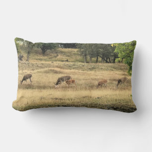 Mule Deer in a Field, Joseph, Oregon Lumbar Pillow