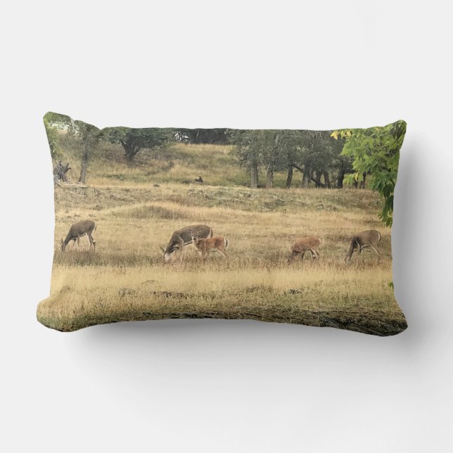 Mule Deer in a Field, Joseph, Oregon Lumbar Pillow (Front)