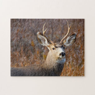 Mule Deer. Jigsaw Puzzle