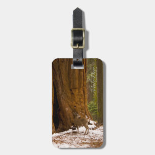 Mule Deer Luggage Tag