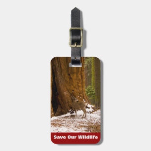 Mule Deer Luggage Tag