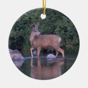 "Mule Deer Making an Early Morning River Crossing" Ceramic Ornament