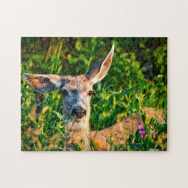 Mule Deer Montana. Jigsaw Puzzle (Horizontal)