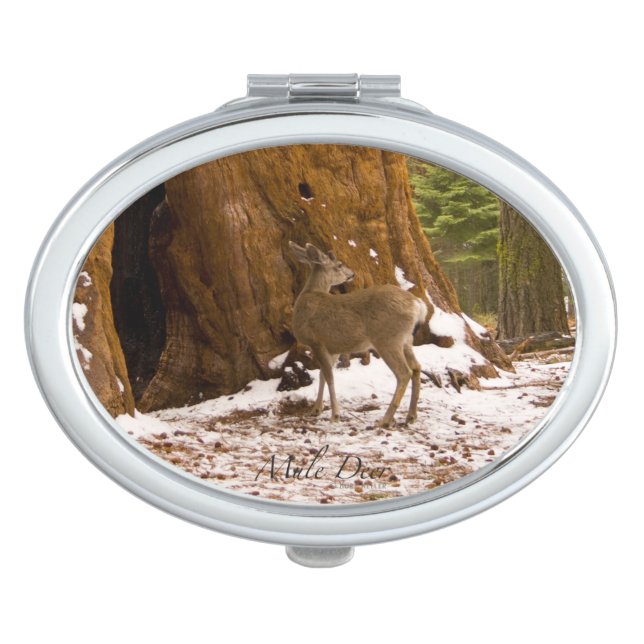 Mule Deer Photo Mirror For Makeup (Front)