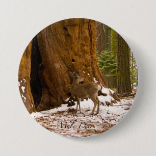 Mule Deer Pinback Button