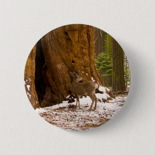 Mule Deer Pinback Button