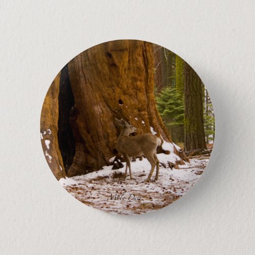 Mule Deer Pinback Button