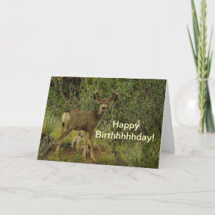 Mule Deer Raspberry Birthday Card