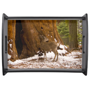 Mule Deer Serving Tray