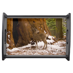Mule Deer Serving Tray