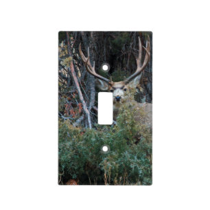 Mule deer spur buck light switch cover