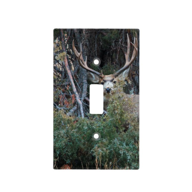 Mule deer spur buck light switch cover (Front)