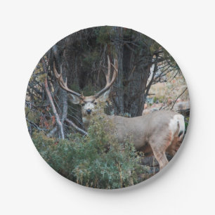 Mule deer spur buck paper plates