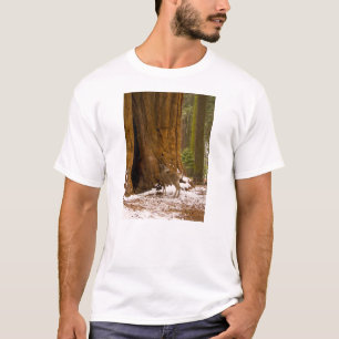 Mule Deer T-Shirt